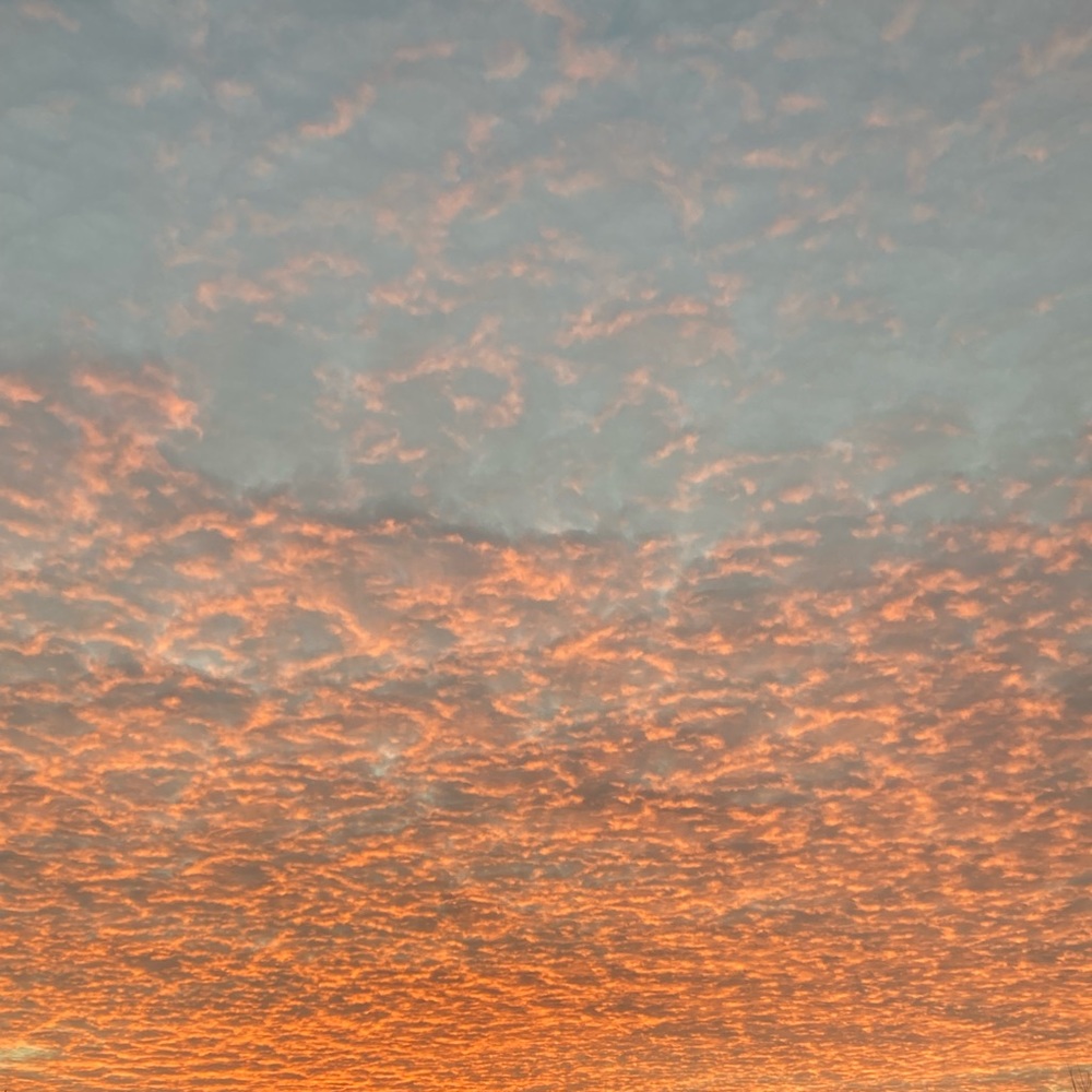 Meet your Posher, Bianca